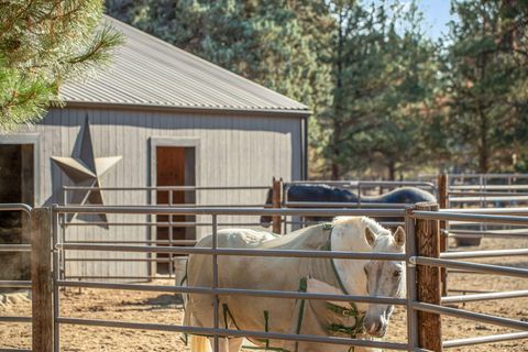 Tiny photo for 15624 National Forest Lane, Sisters, OR 97759 (MLS # 220213314)