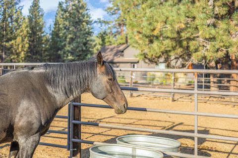 Tiny photo for 15624 National Forest Lane, Sisters, OR 97759 (MLS # 220213314)