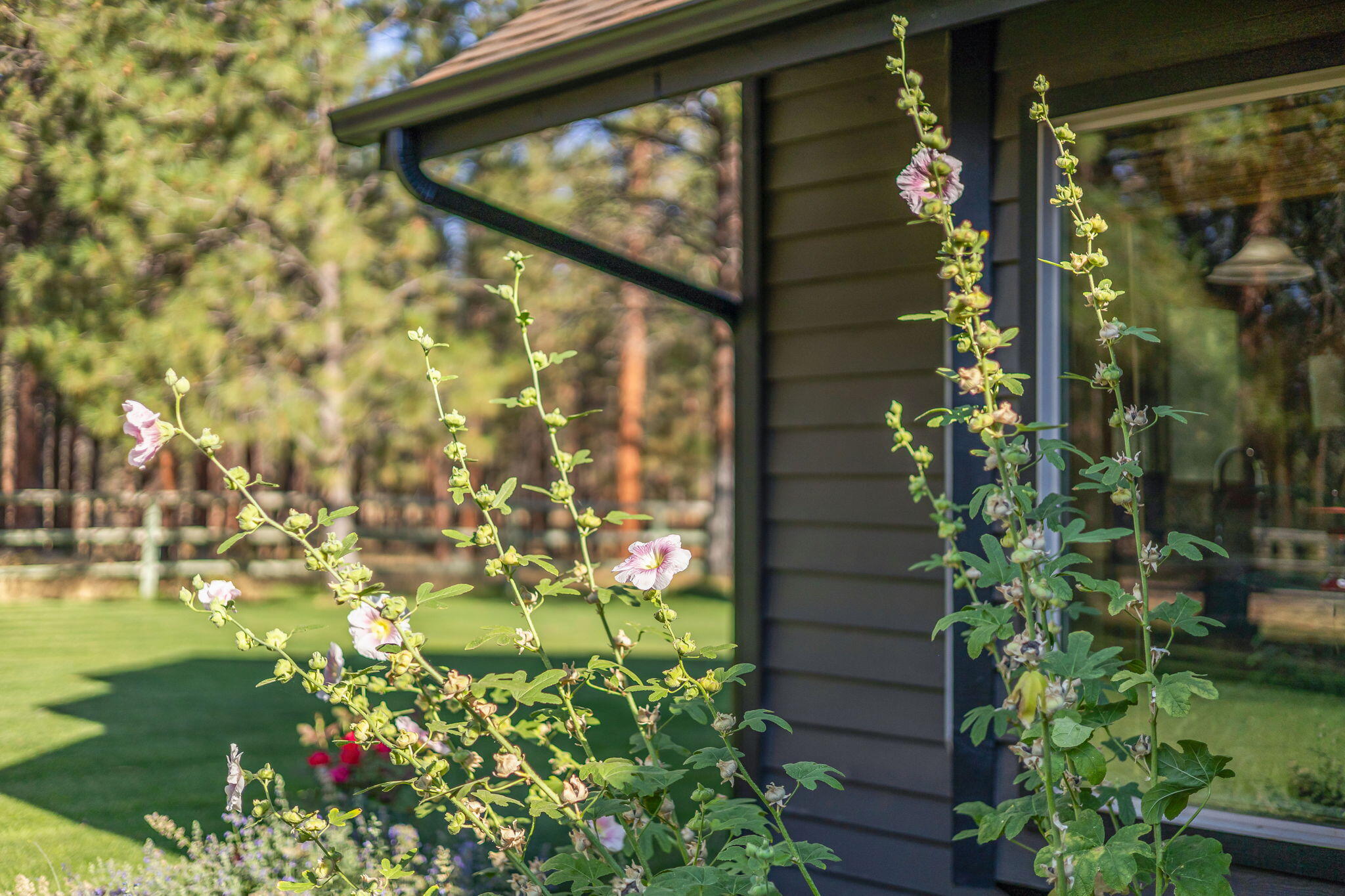 Indian Ford Meadows - Residential