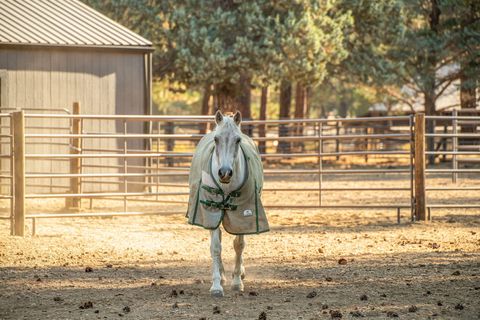 Tiny photo for 15624 National Forest Lane, Sisters, OR 97759 (MLS # 220213314)