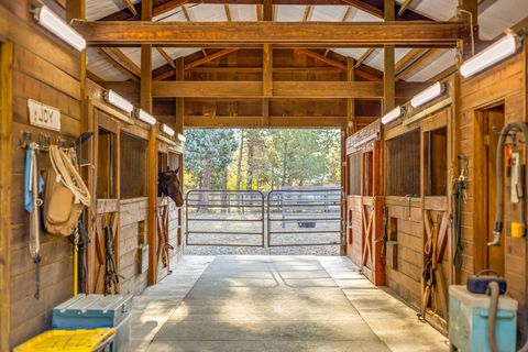 Tiny photo for 15624 National Forest Lane, Sisters, OR 97759 (MLS # 220213314)