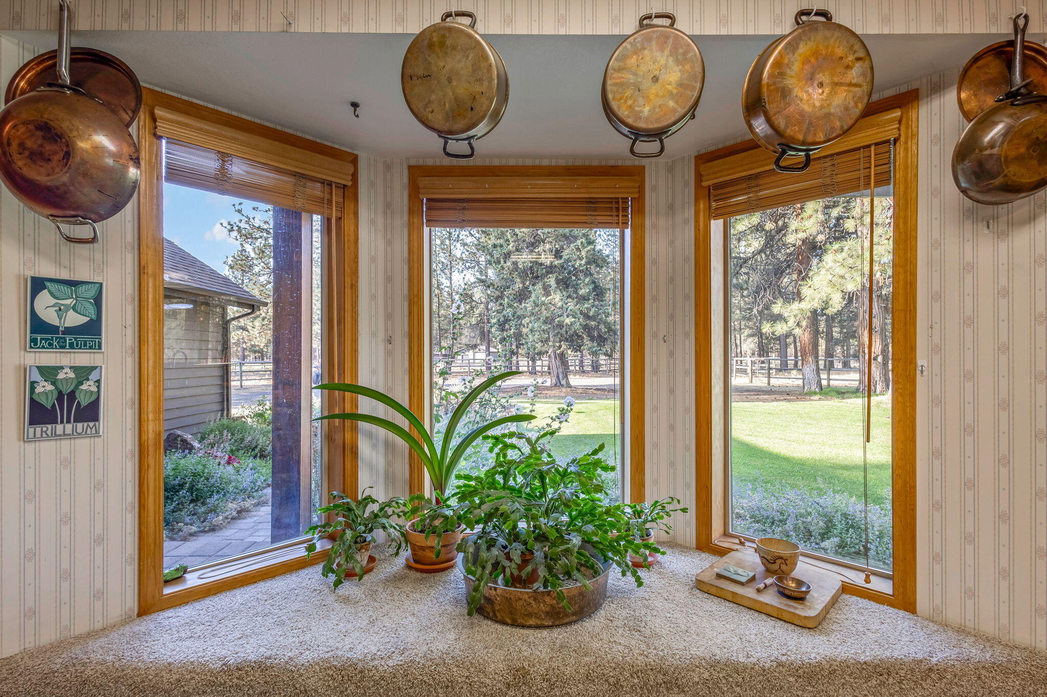 Indian Ford Meadows - Residential