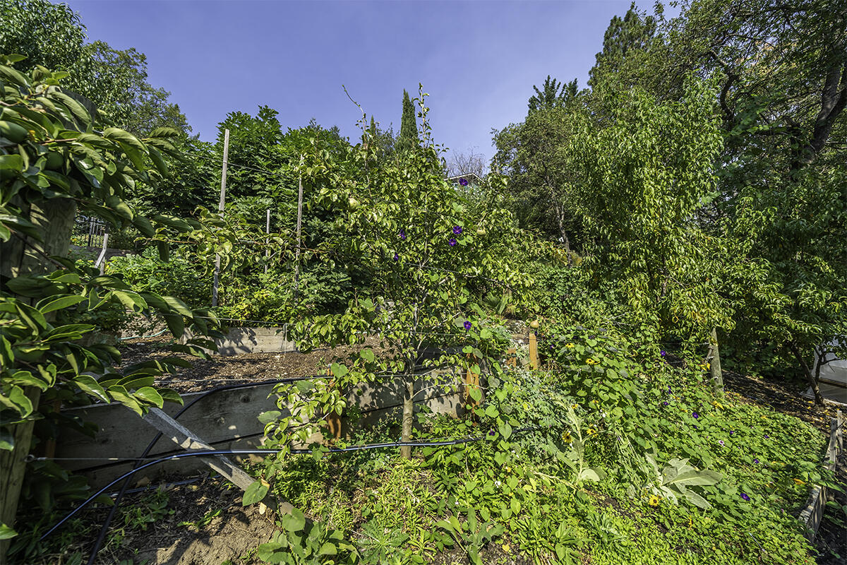 Deer Ridge Terrace Subdivision - Residential