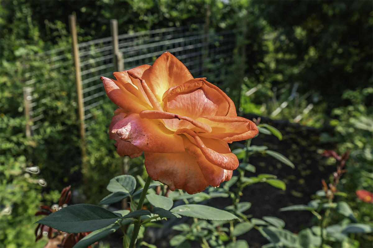 Deer Ridge Terrace Subdivision - Residential