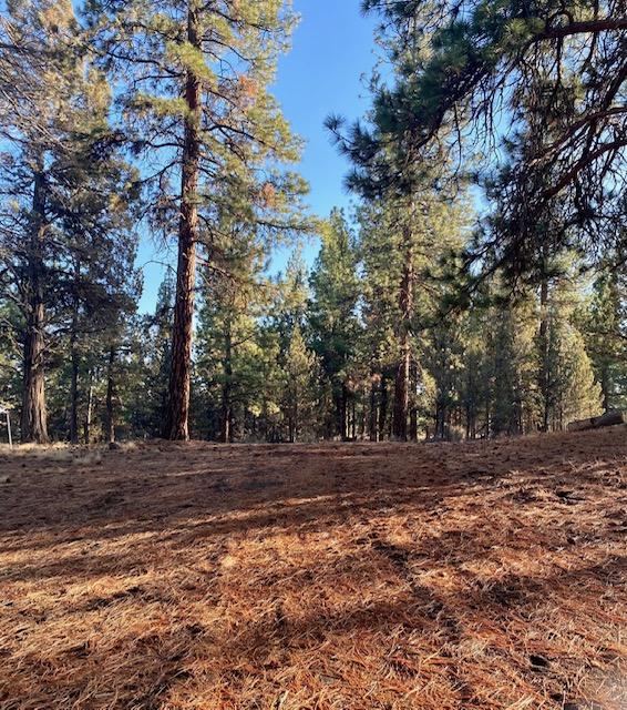 Tumalo Heights - Land