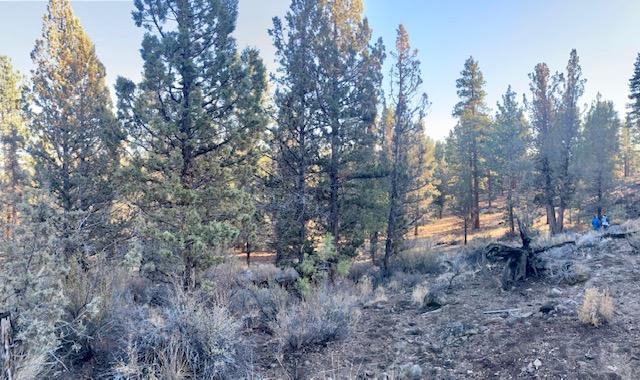 Tumalo Heights - Land