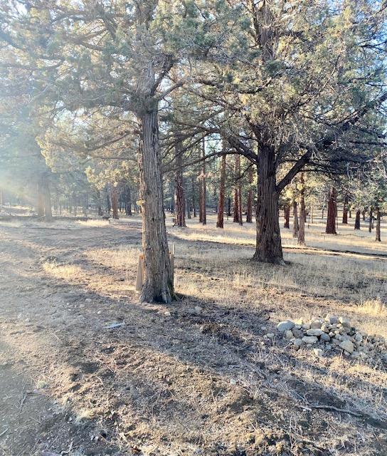 Tumalo Heights - Land