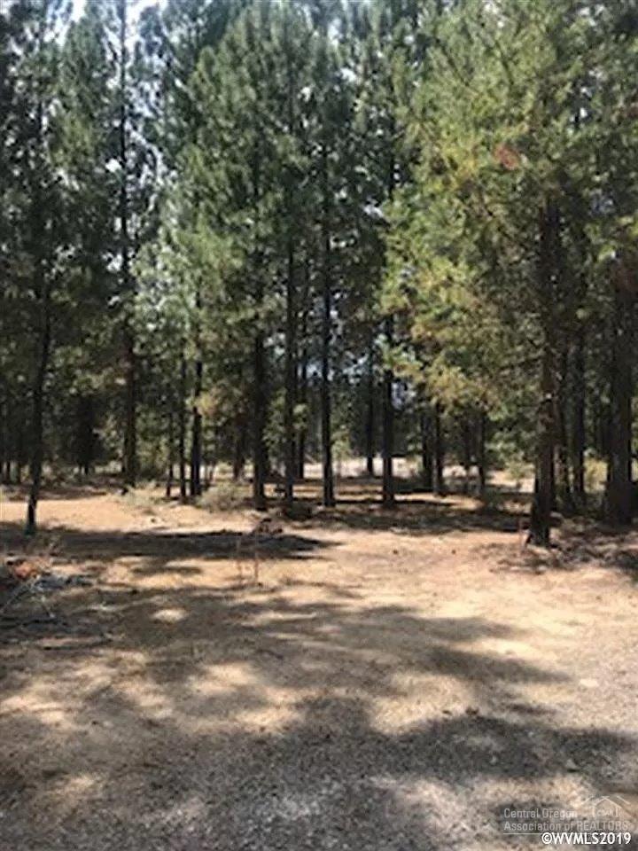 River Pine Estates - Residential