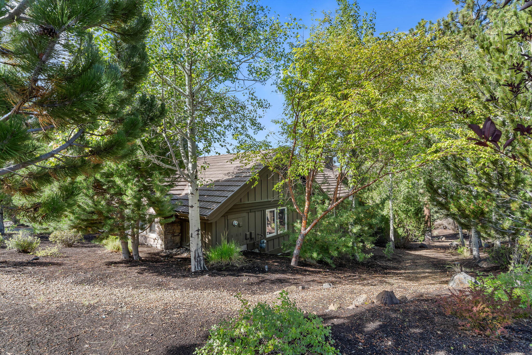 Skyliner Summit - Residential