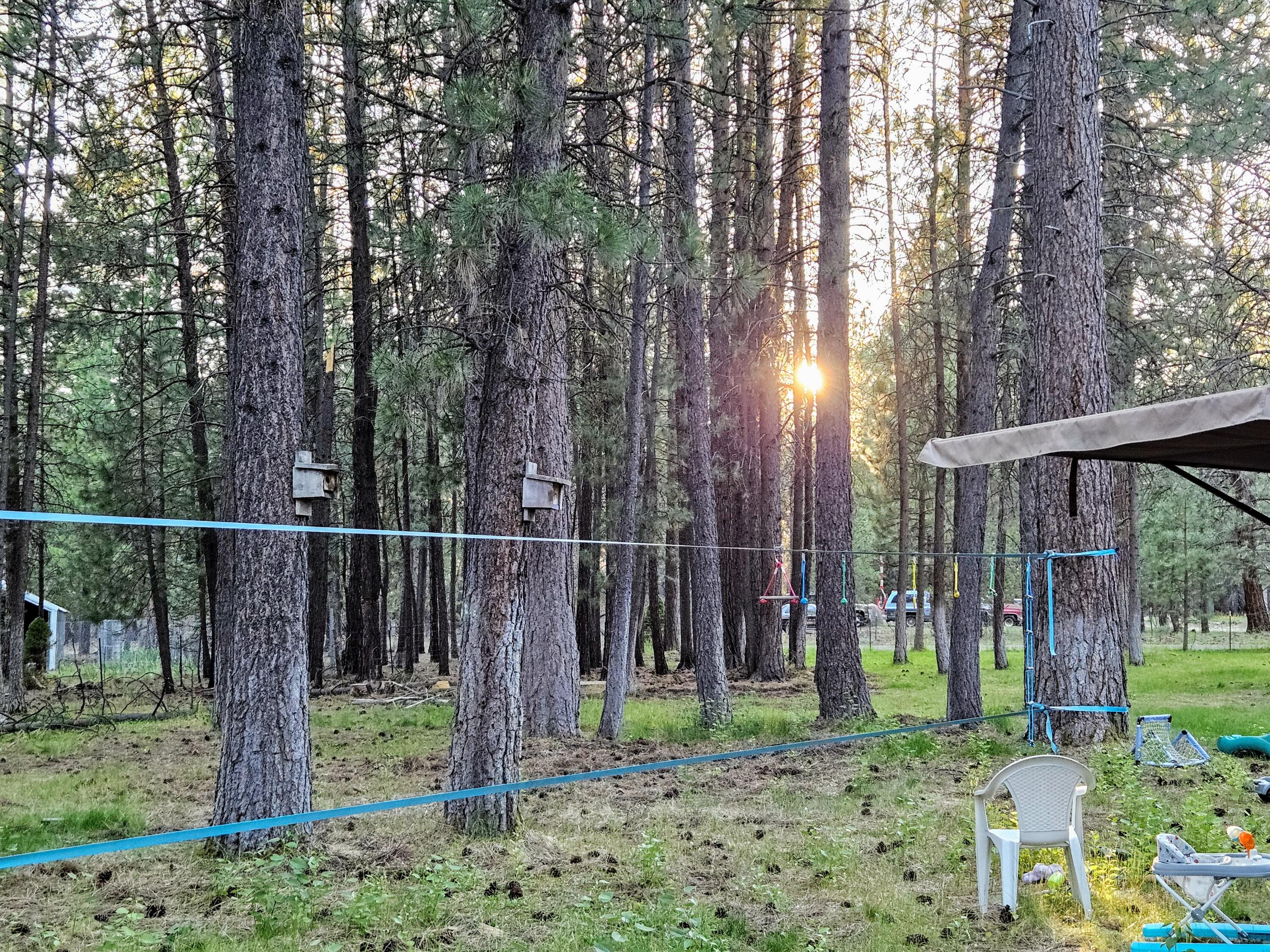 Ponderosa Pines East - Residential