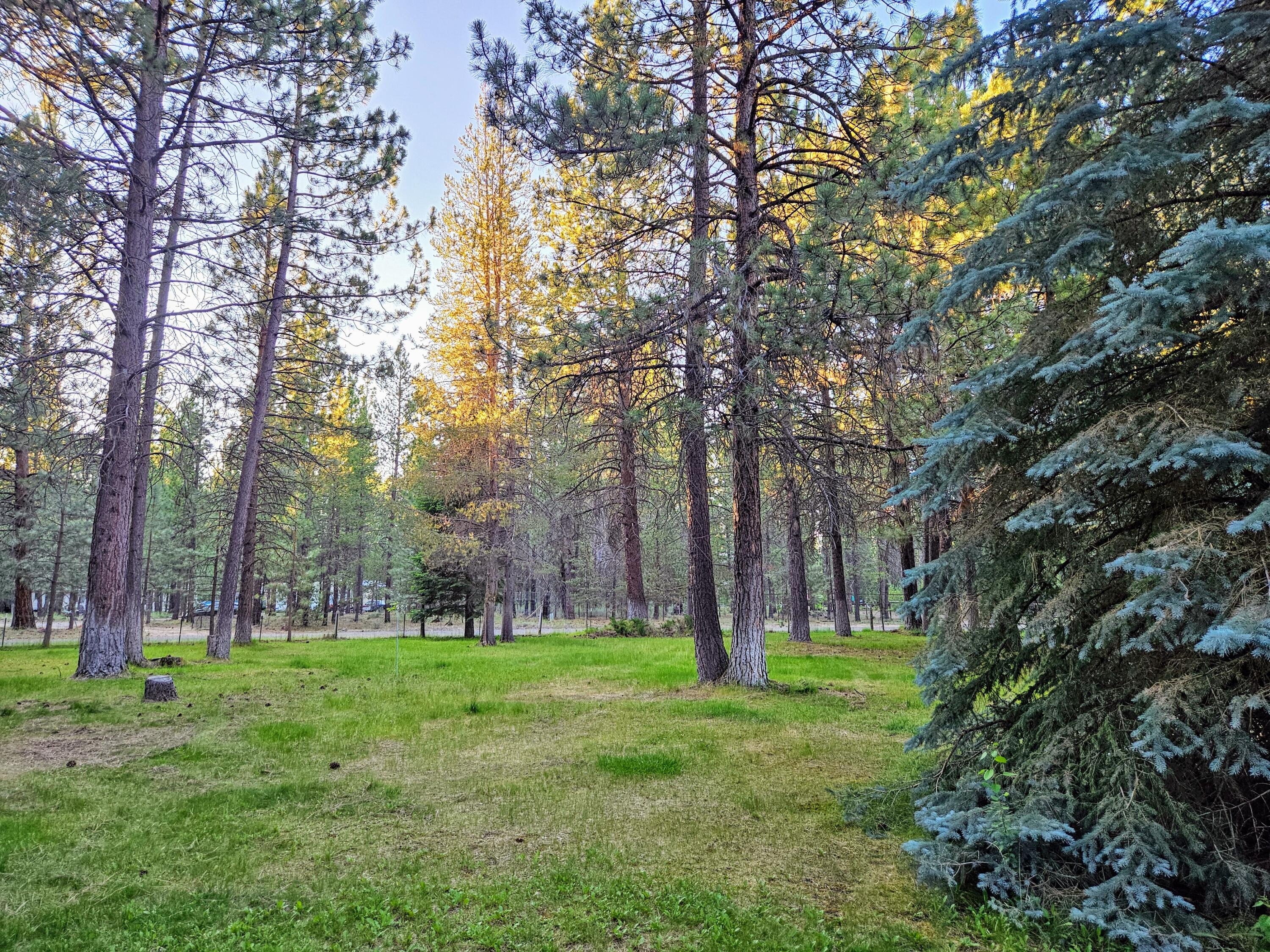 Ponderosa Pines East - Residential