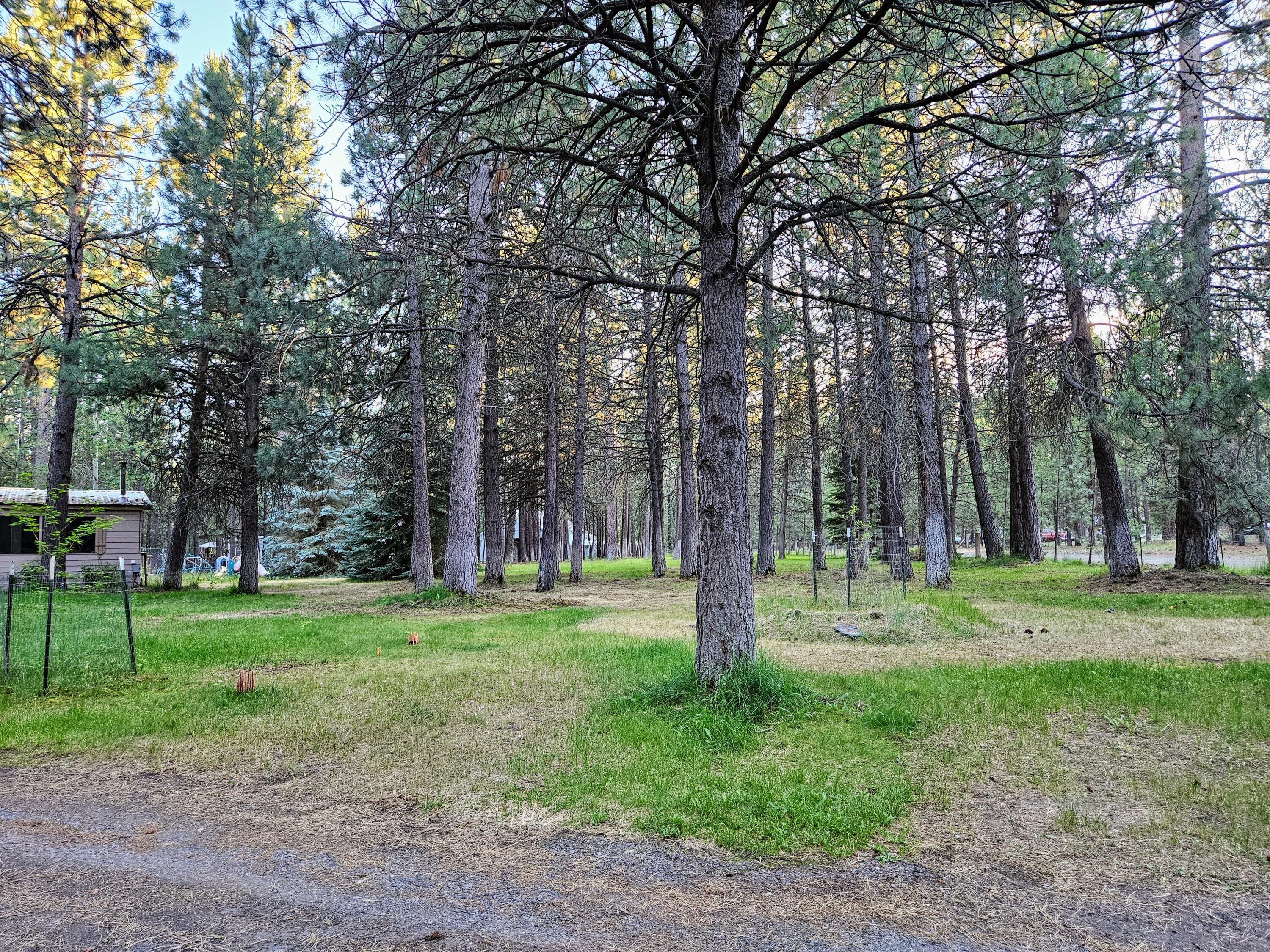 Ponderosa Pines East - Residential