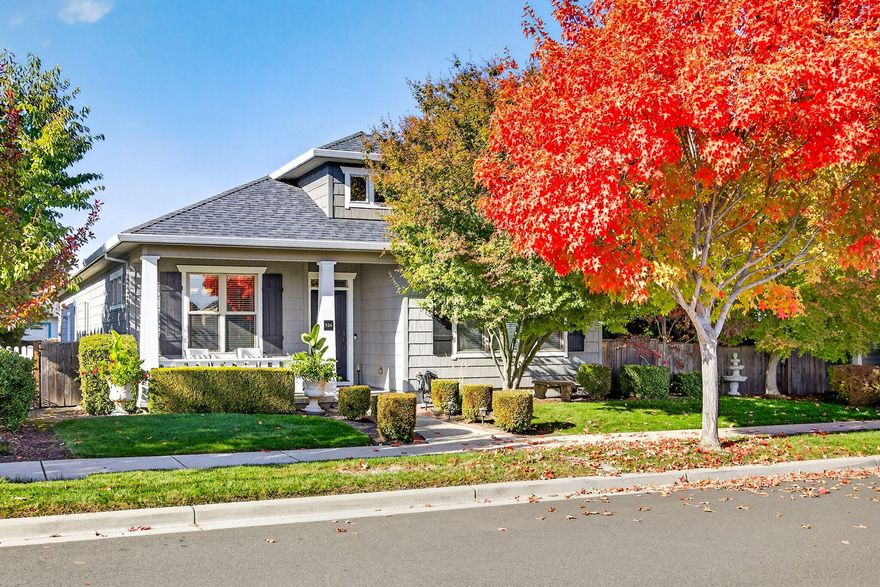 Shows like a model home! You'll love this gorgeous, one owner, Gary Ray built custom home across the street from the popular Don and Flo Bohnert Farm Park. Great curb appeal, inviting front porch. Beautiful great room with gas fireplace, crown molding, and lots of windows. Spacious dining area overlooking the park with hardwood floors. Kitchen with breakfast bar, stainless steel appliances, pull-outs in cabinets, and included refrigerator. Guest full bath with granite counter and tiled shower surround and floors. Master Suite with hardwood floors, door to patio, walk-in closet, dual vanities, tiled shower. The covered patio is a serene space with a water feature, ceiling fan,  and privacy! Utility room with extra cabinets,  a finished 2-car garage, and a whole house generator complete the package. One of the best locations in Twin Creeks and priced right!