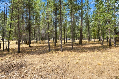 Tiny photo for 52216 Moose Road, La Pine, OR 97739 (MLS # 220228191)