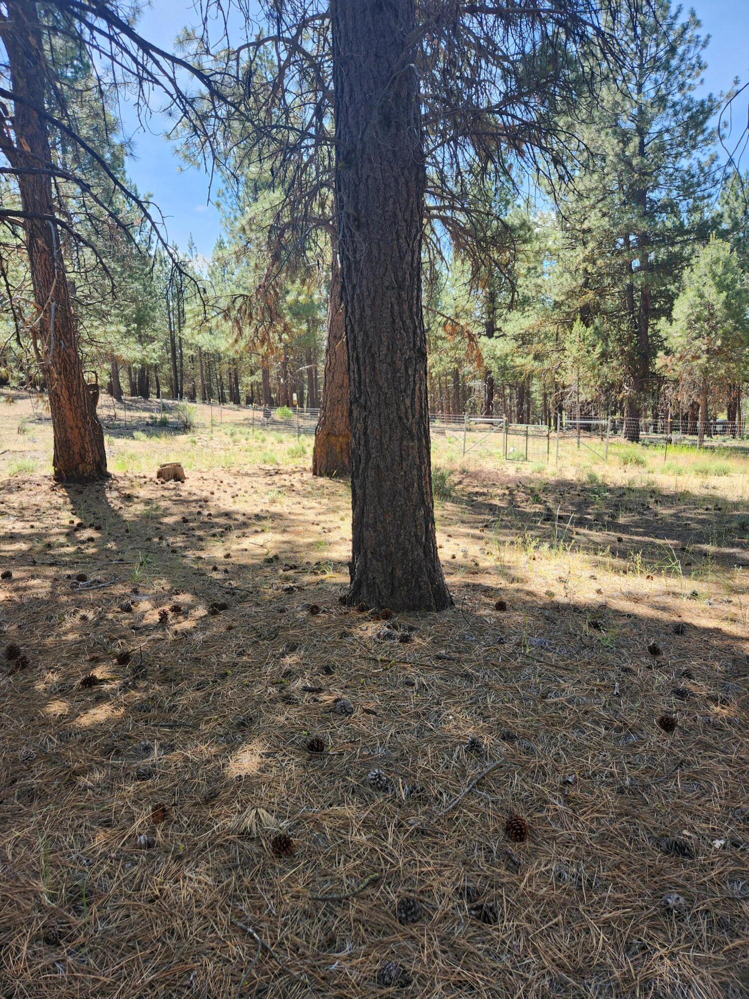 Sprague River - Residential