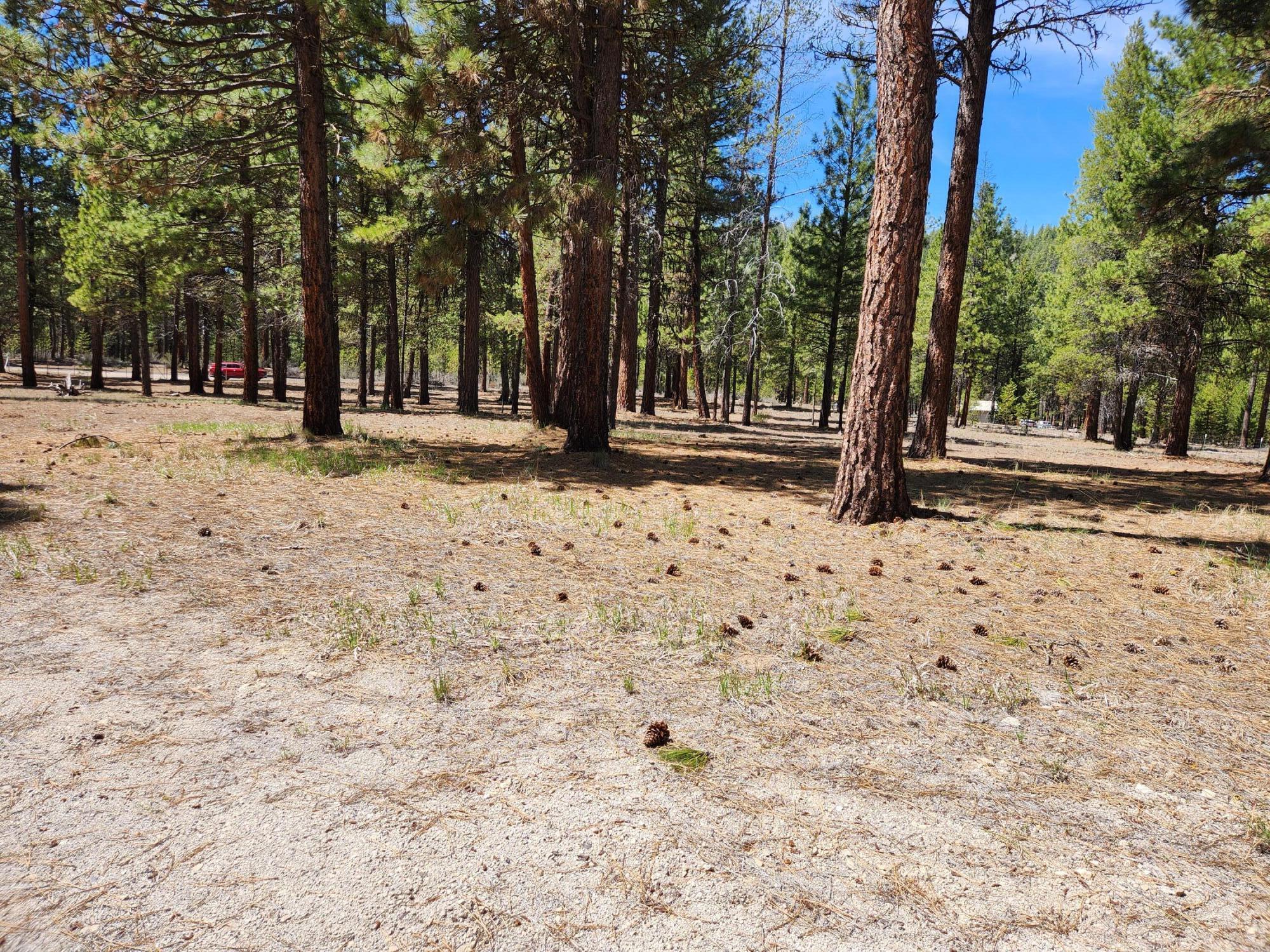 Sprague River - Residential