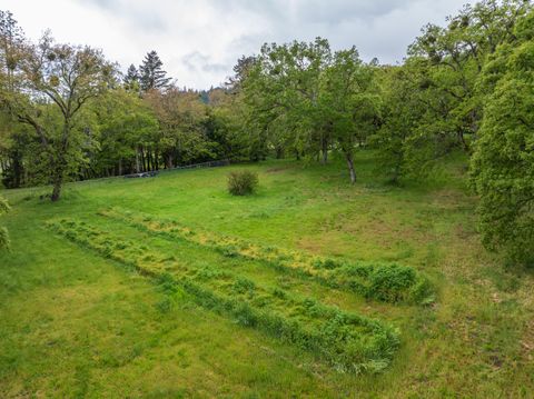 Tiny photo for 7680 Upper Applegate Rd, Jacksonville, OR 97530 (MLS # 220220067)