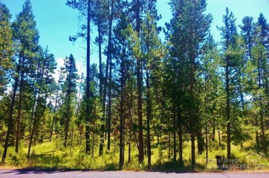 Private .86 acre lot in OWW2. Build your retirement or vacation home on one of few lots remaining in this desirable HOA community close to Sunriver, Deschutes River, short drive to Cascade lakes & Mt. Bachelor, bring your toys & play in Central Oregon's recreation paradise. Private community boat ramp, dock & park with deeded access for OWW2 owners only. HOA includes road maintenance & snow plowing.