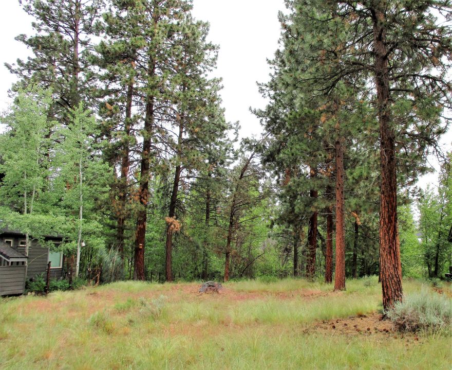 Creek Front Living! Build your dream home with the music of the creek in your backyard. Pines, Willows, Cottonwoods and natural grasses for your landscape. Play in the water on a hot Summer day! Lot adjoins riparian area. No HOA dues! City water and sewer, so close to everything that Sisters Country has to offer.