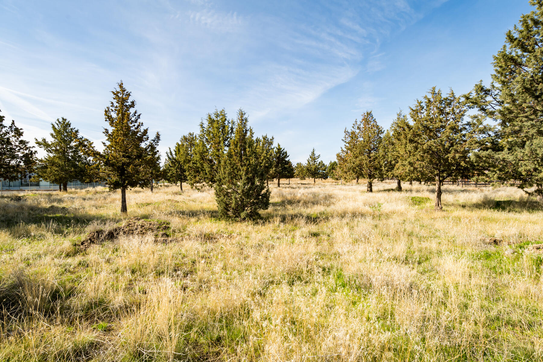 SW Peninsula Lot 173