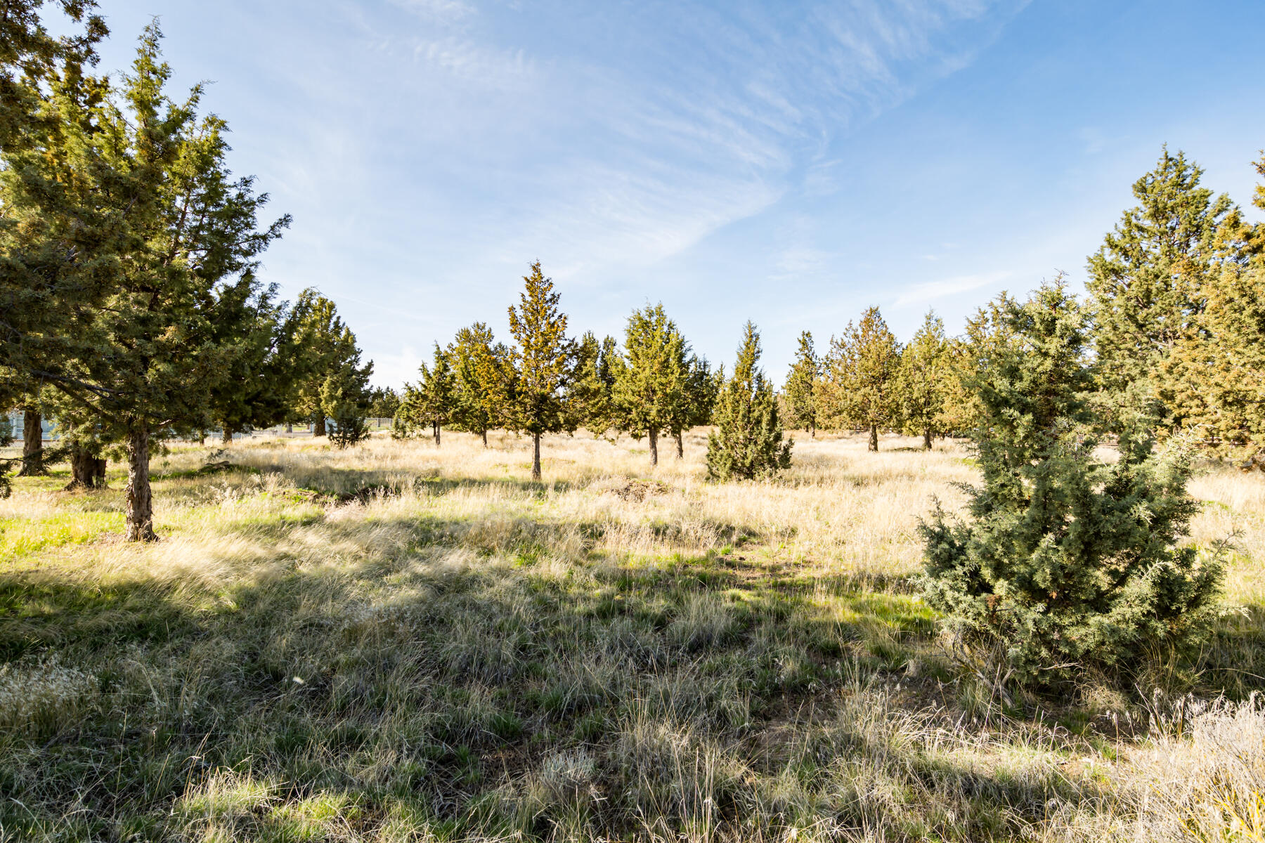 SW Peninsula Lot 173