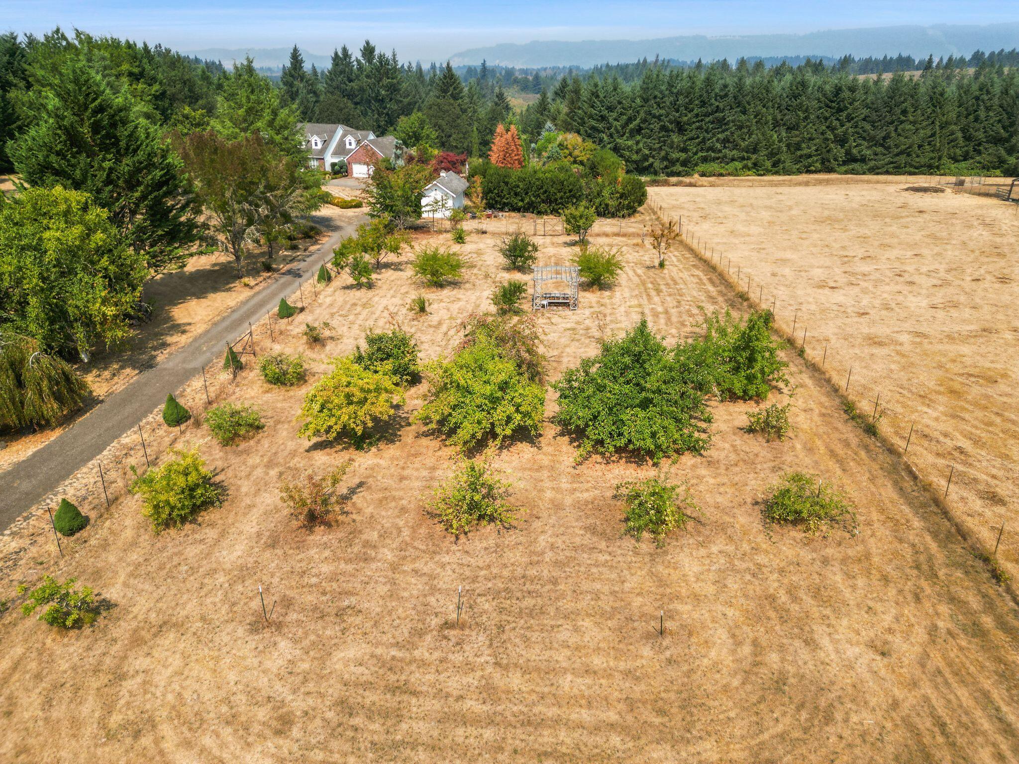 Linnhaven Orchard Company - Residential