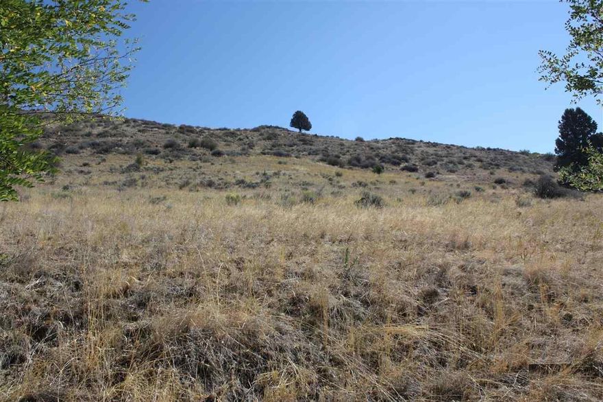 Build Your Dream Home On This .45 Acre Lot In The Desirable Hot Springs Neighborhood. Great Hillside Lot at the end of the street and In The Roosevelt School District. 4 city lots with a great view. Minutes away from Sky Lakes Medical Center and OIT.