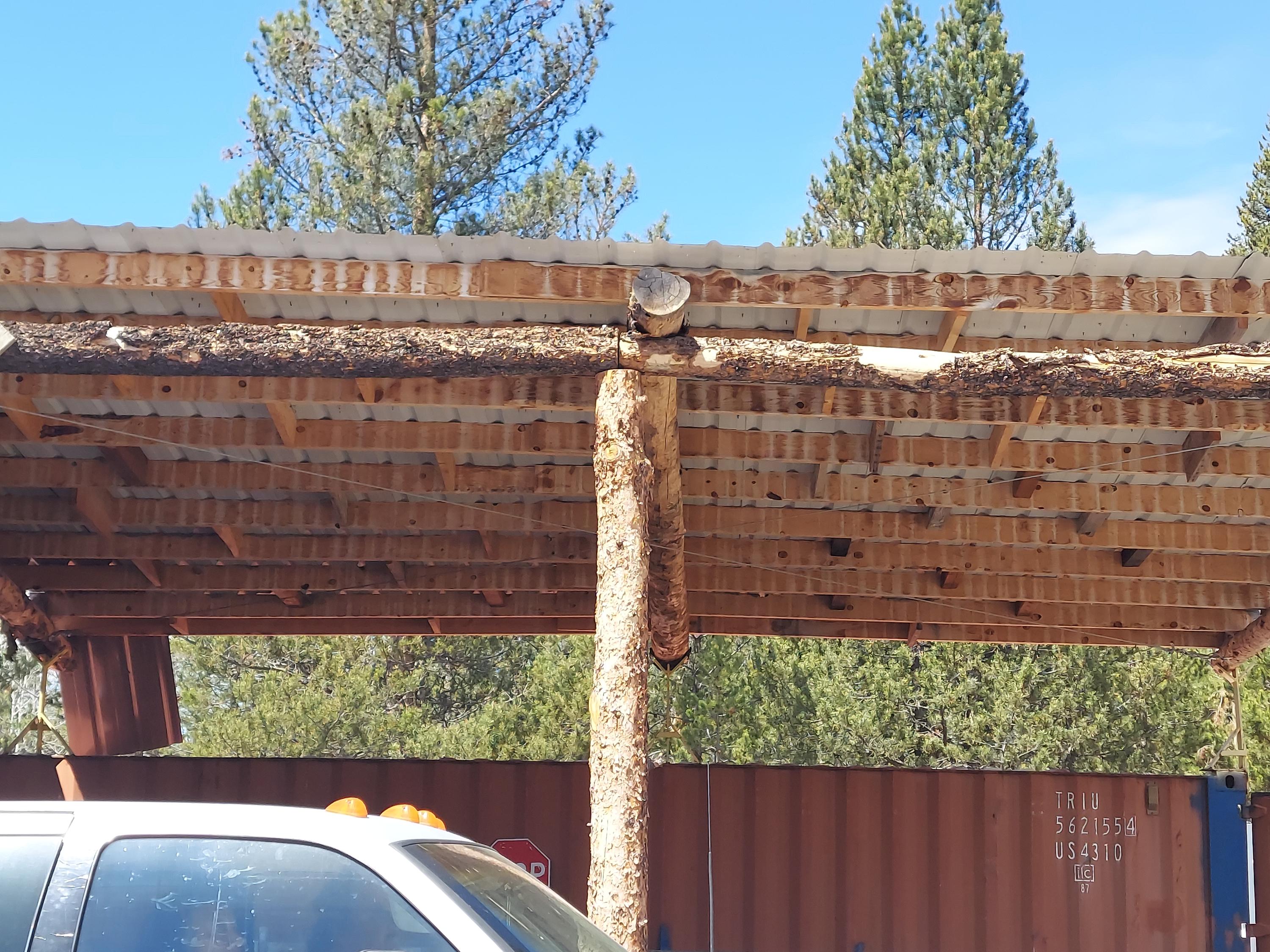 Antelope Meadows - Residential