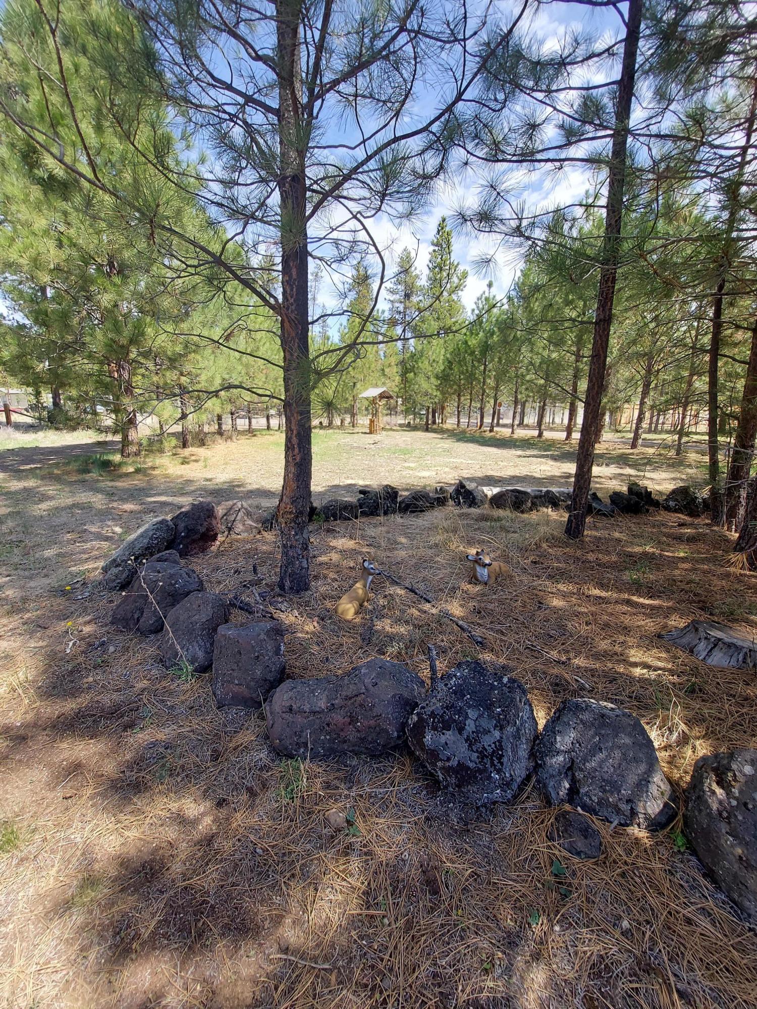 Antelope Meadows - Residential