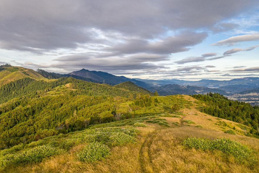 The Beals Creek Ranch comprises 781.34 acres with some of the best recreational opportunities in the region, 2,000' of Beals Creek frontage, and over 2,000 acres of public lands directly adjacent. The property is located less than 8 miles from Canyonville with easy access to I-5, and access is via an improved gravel road that is in good condition. There are also interior roads for accessing much of the property, accessible by UTV, with a rock pit on the property for maintaining the roads on the ranch. Located in the Evans Creek Hunting unit, this property offers an opportunity for over-the-counter deer and elk tags for both rifle and archery hunting and LOP tags. The property would be a great canvas to develop an off-grid lodge or cabin for either full time occupancy or as a private vacation/recreation property. With year round access and mild winters, this expansive property has many benefits due to its geographic location and lower elevation. Owner may carry with acceptable terms.