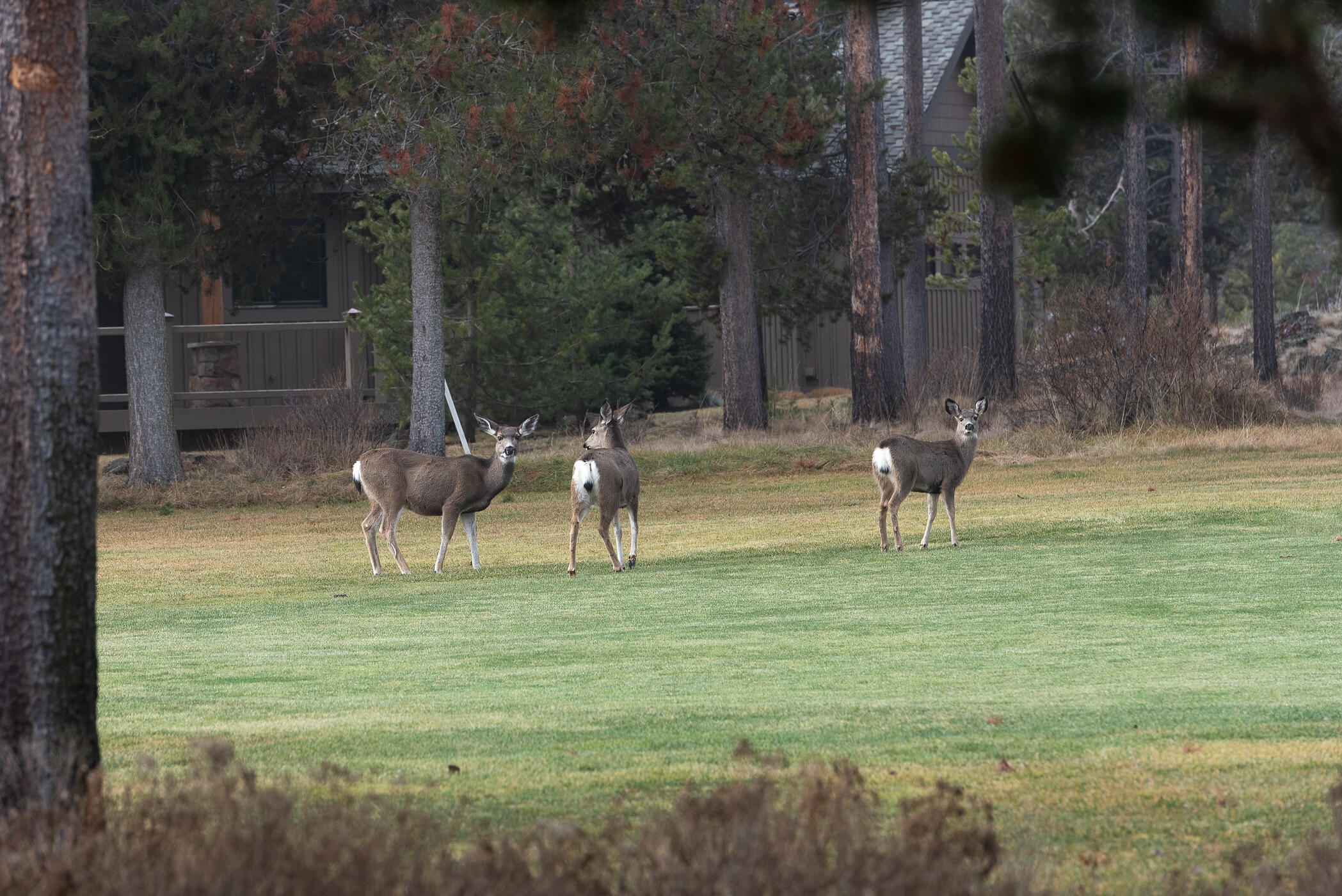Fairway Point Villag - Residential