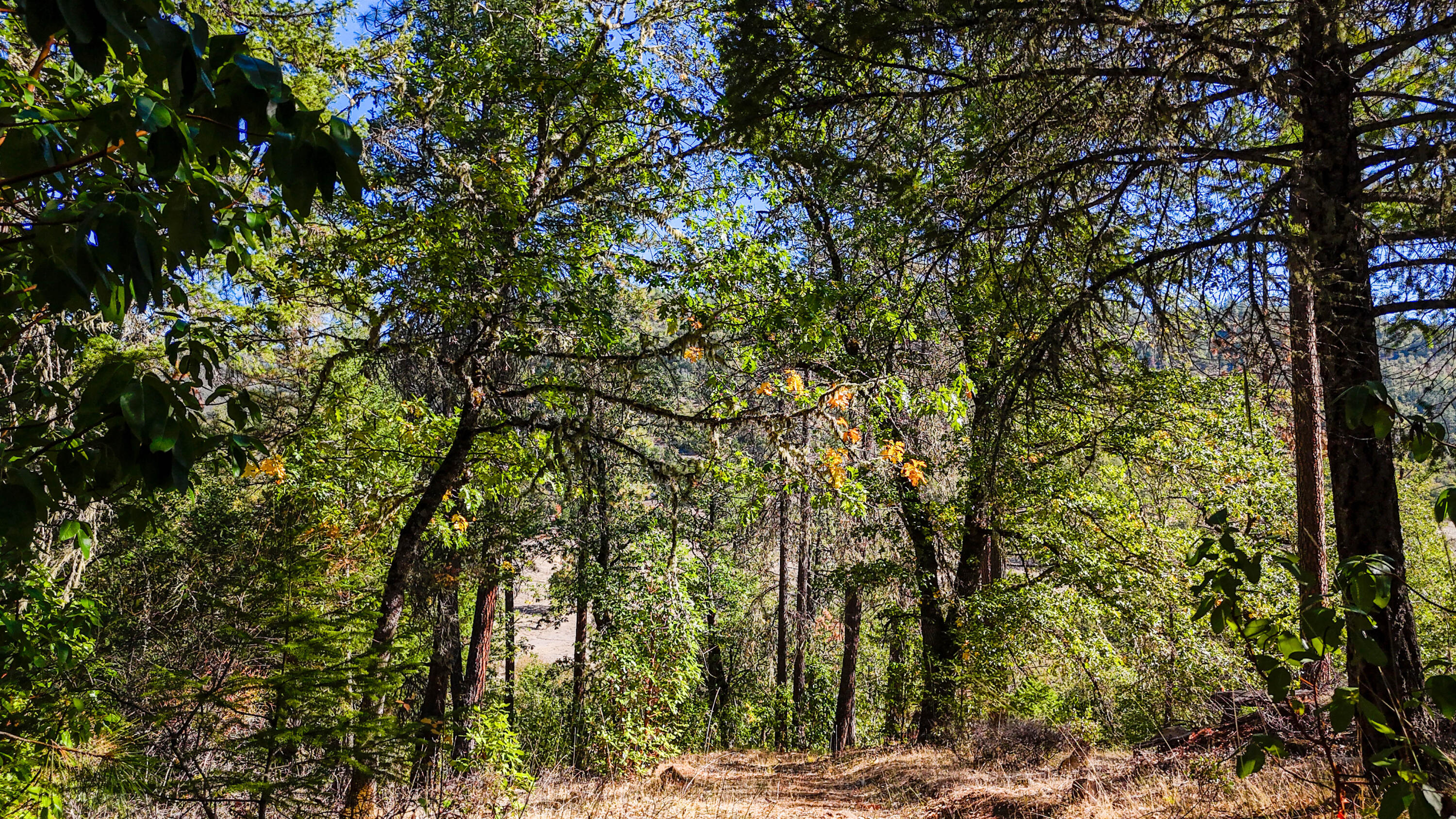 Swayze Subdivision - Land