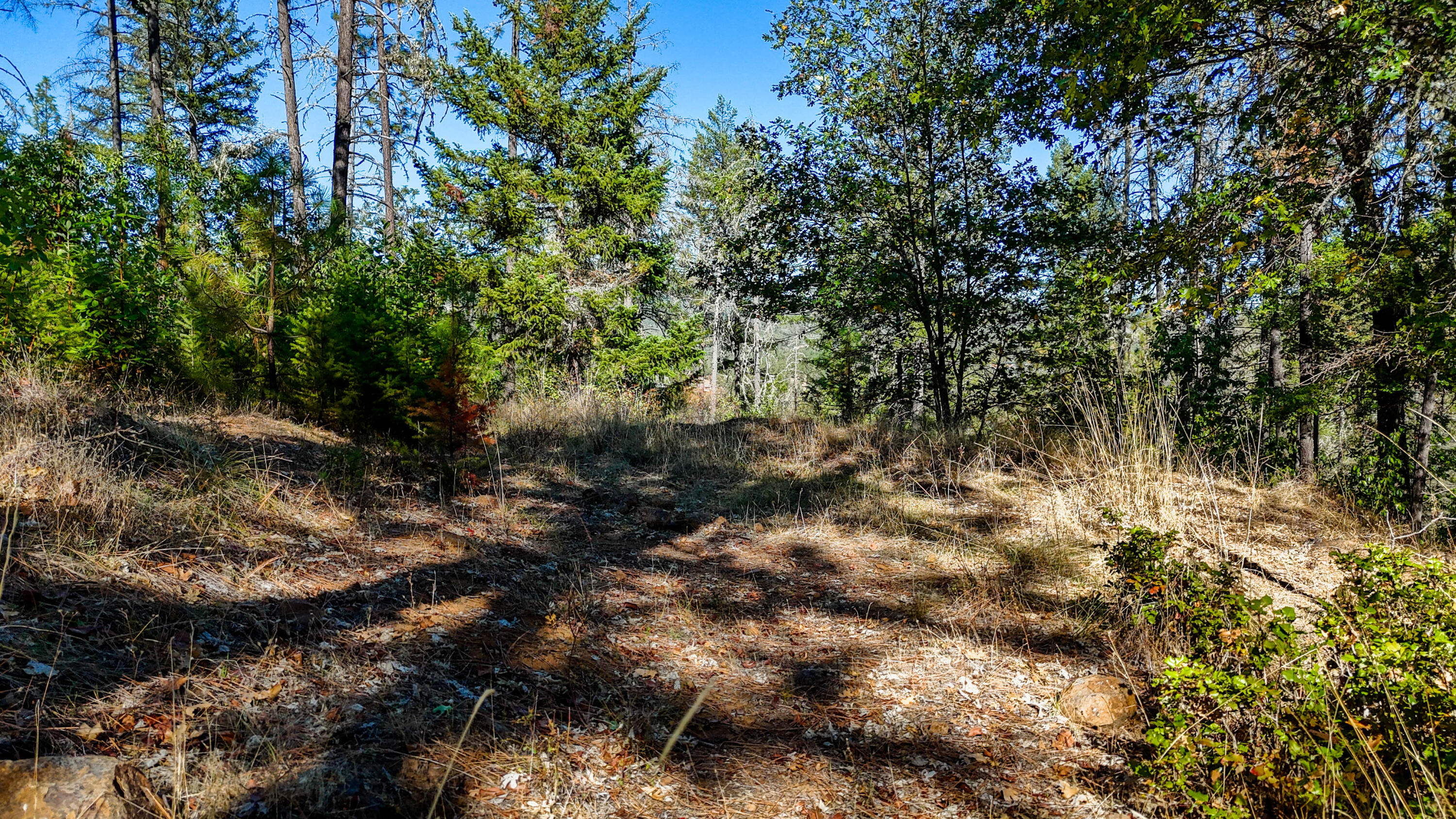 Swayze Subdivision - Land