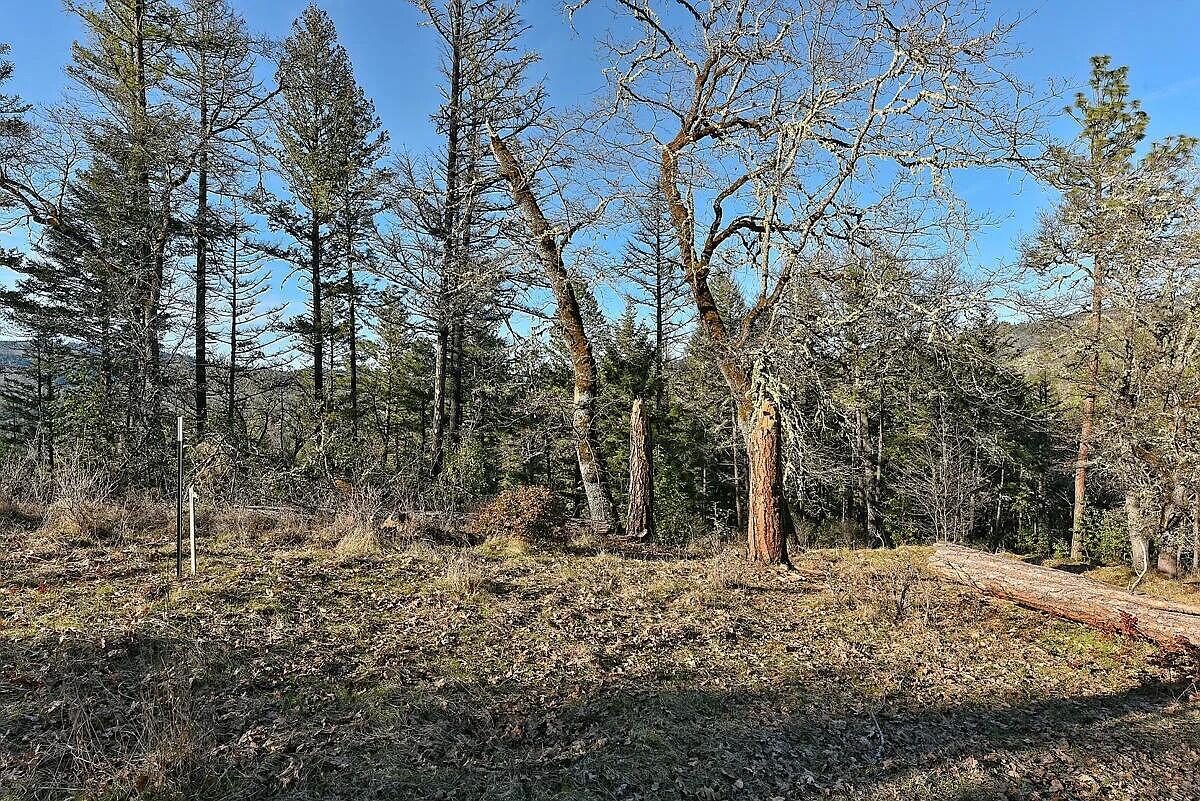 Swayze Subdivision - Land