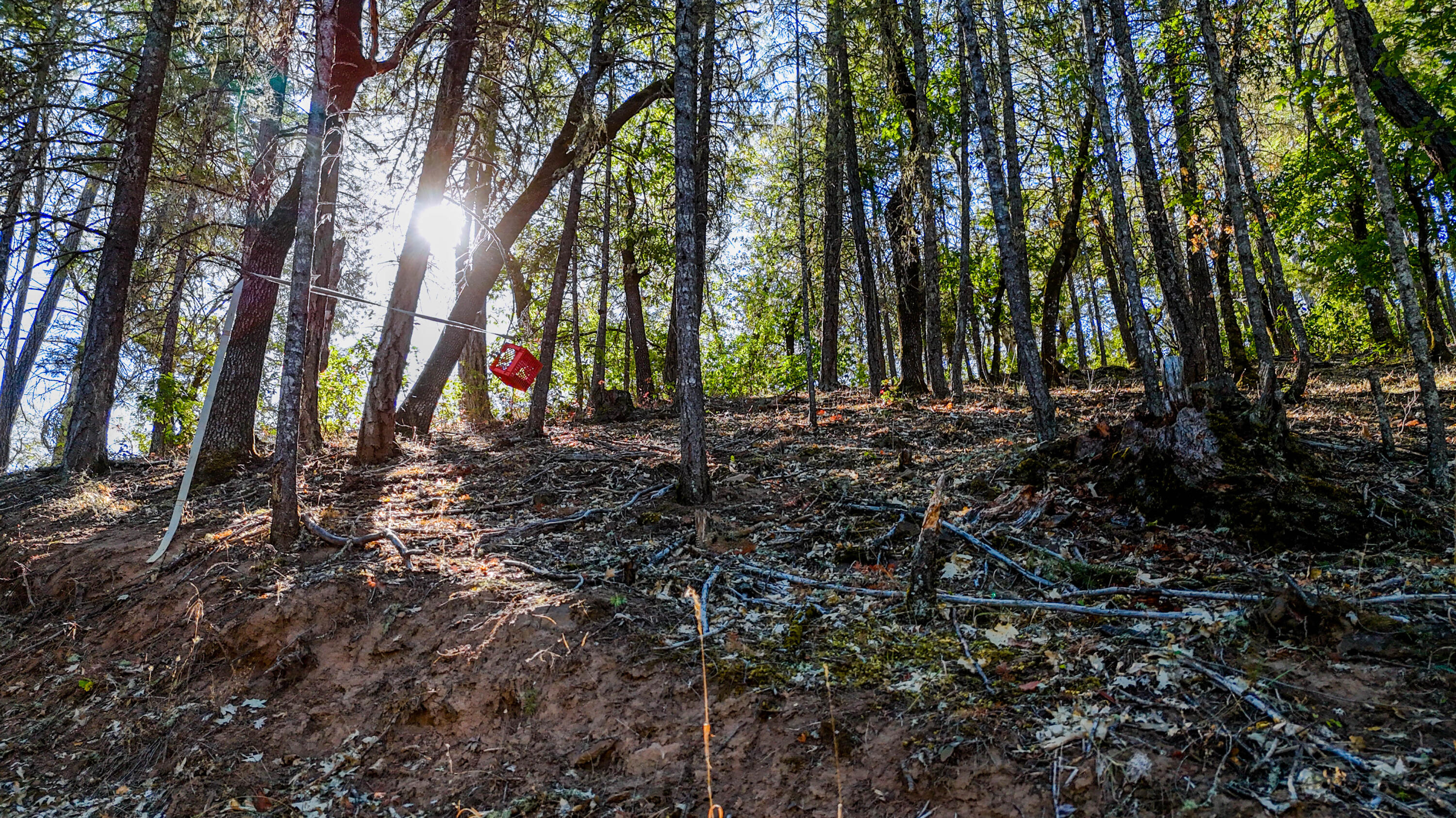 Swayze Subdivision - Land