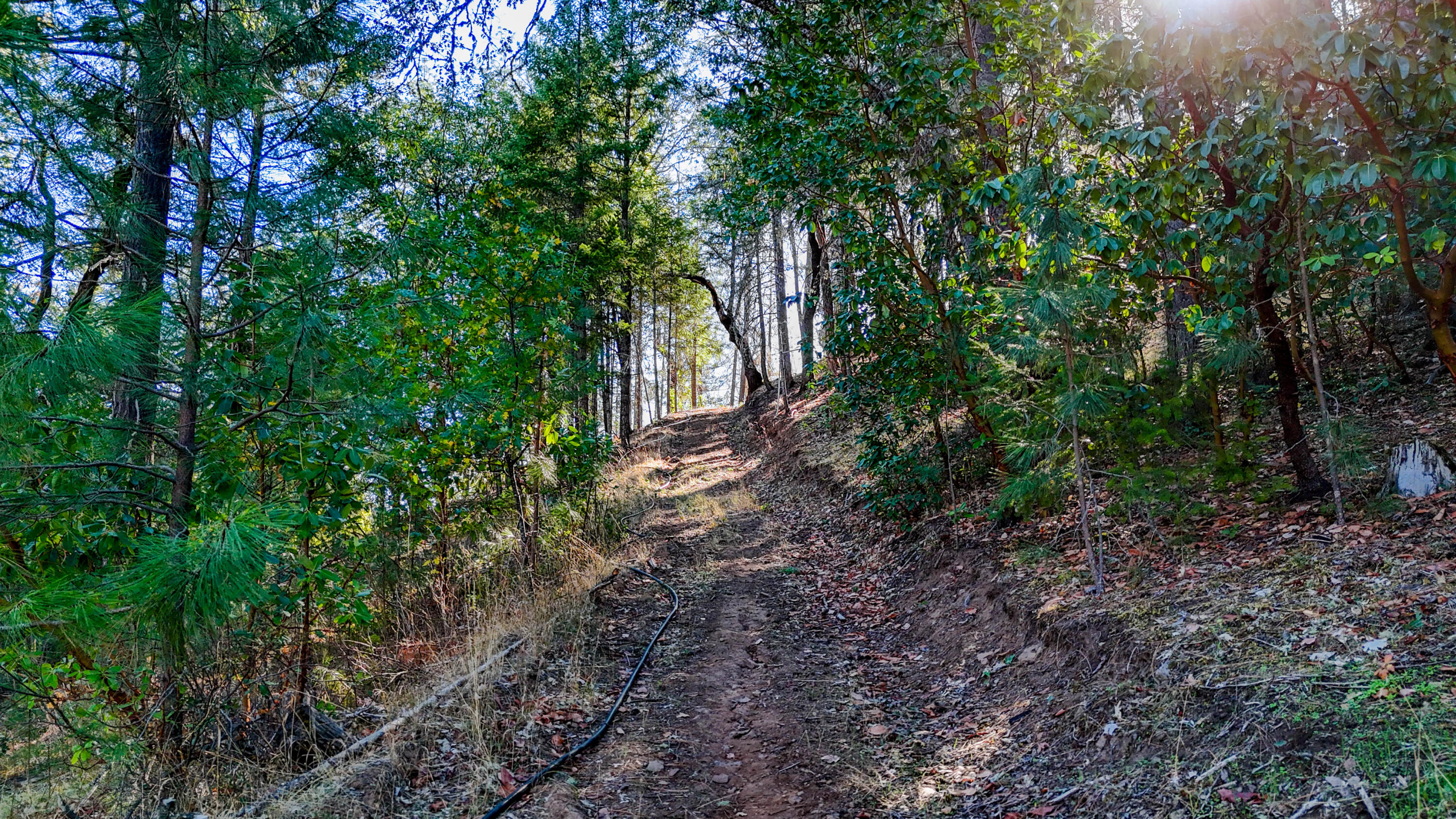 Swayze Subdivision - Land