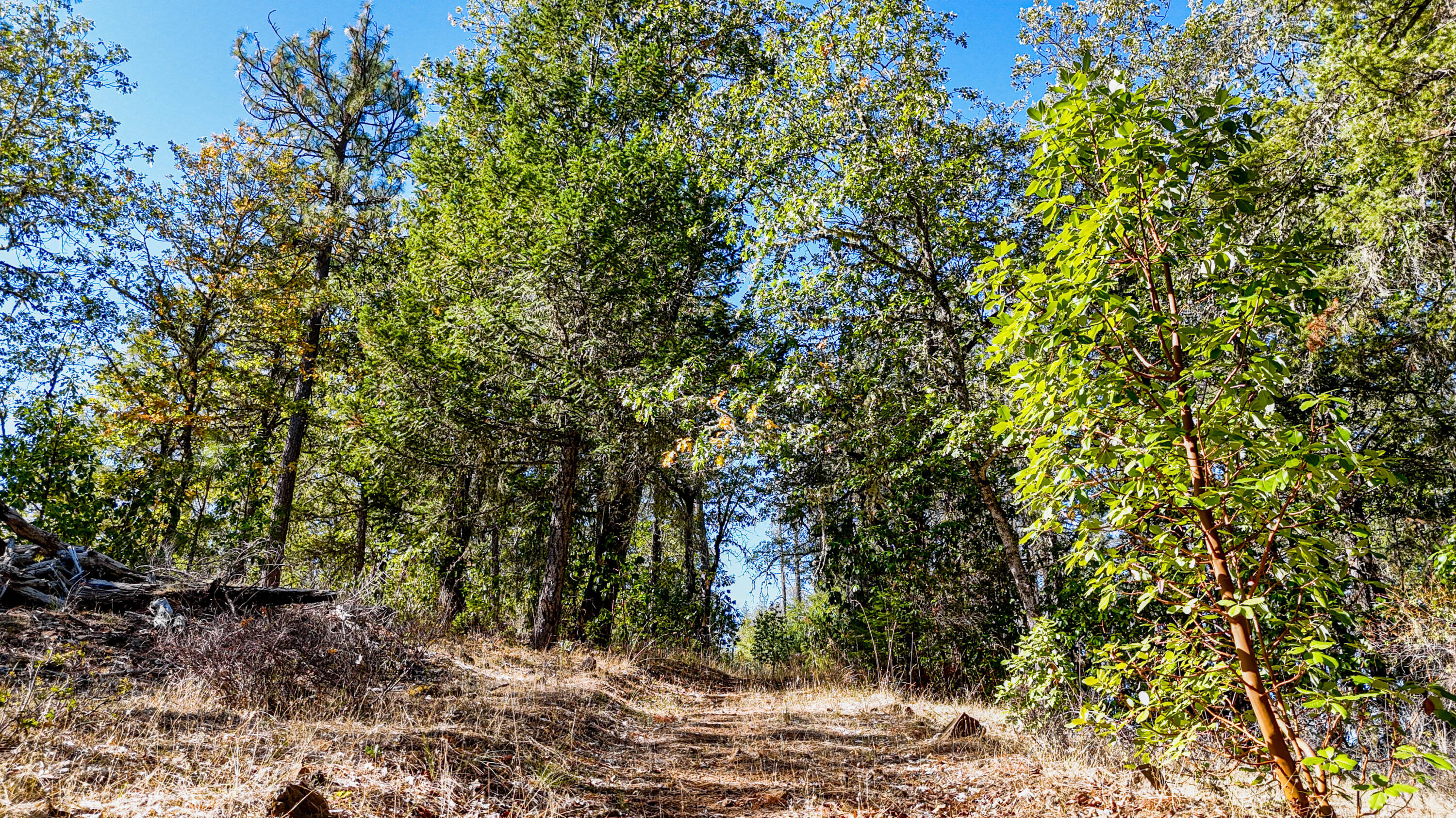 Swayze Subdivision - Land