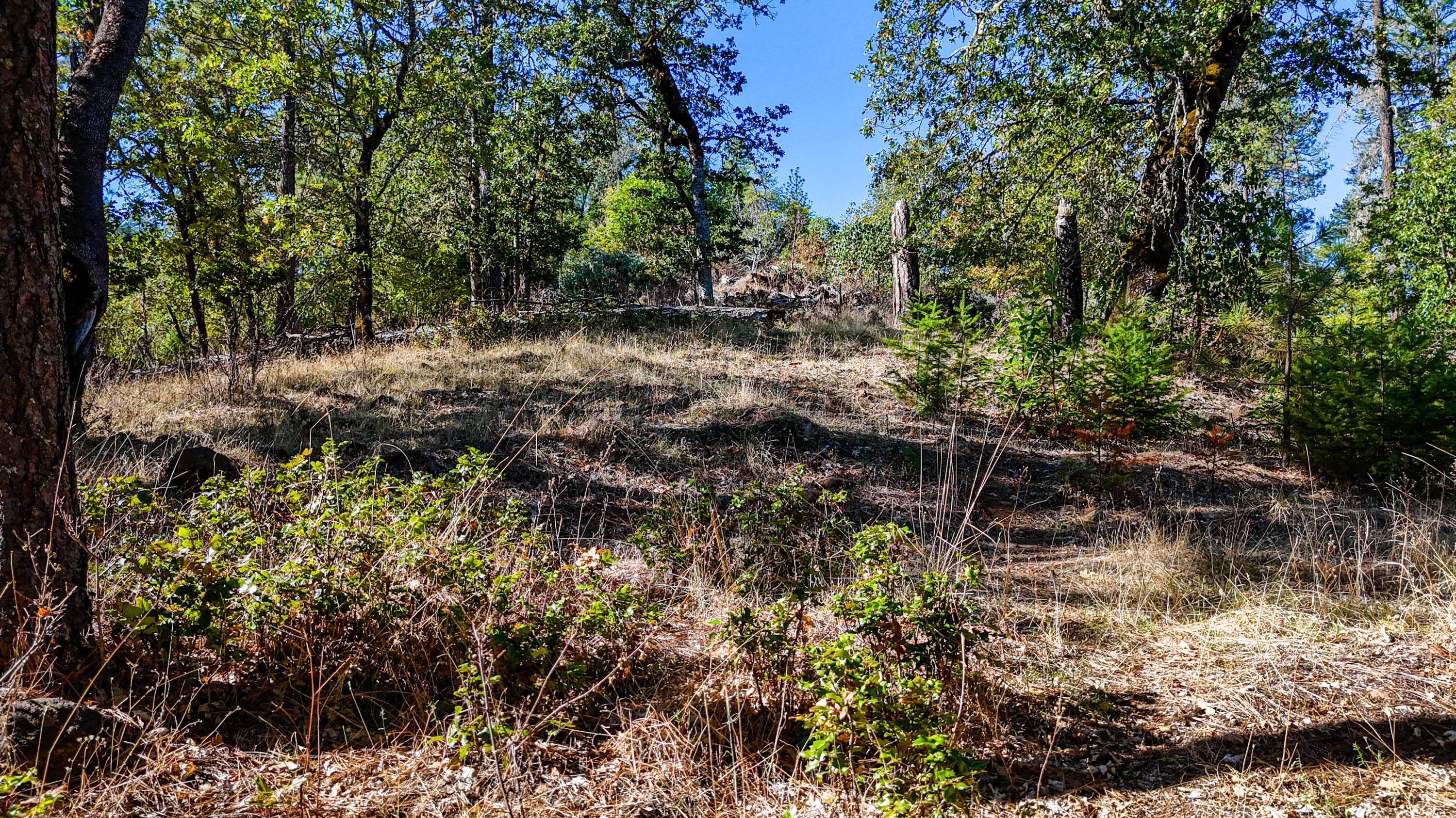 Swayze Subdivision - Land