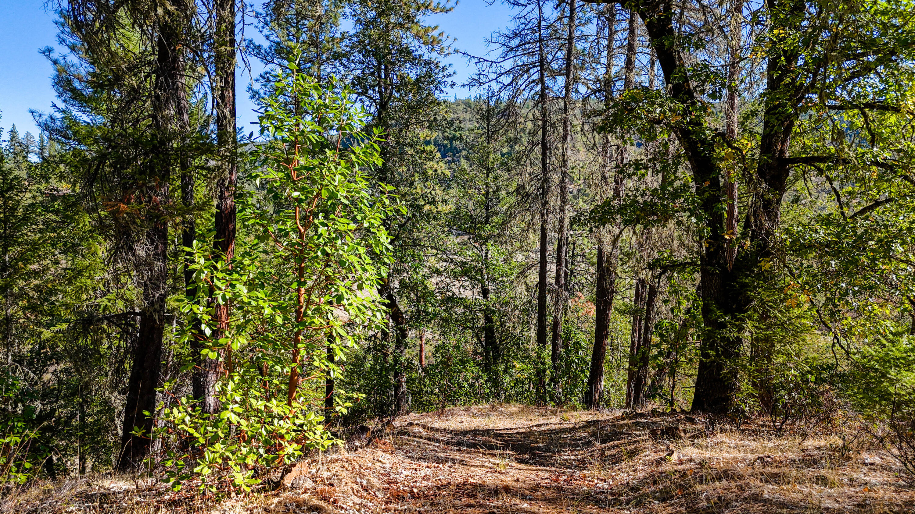 Swayze Subdivision - Land