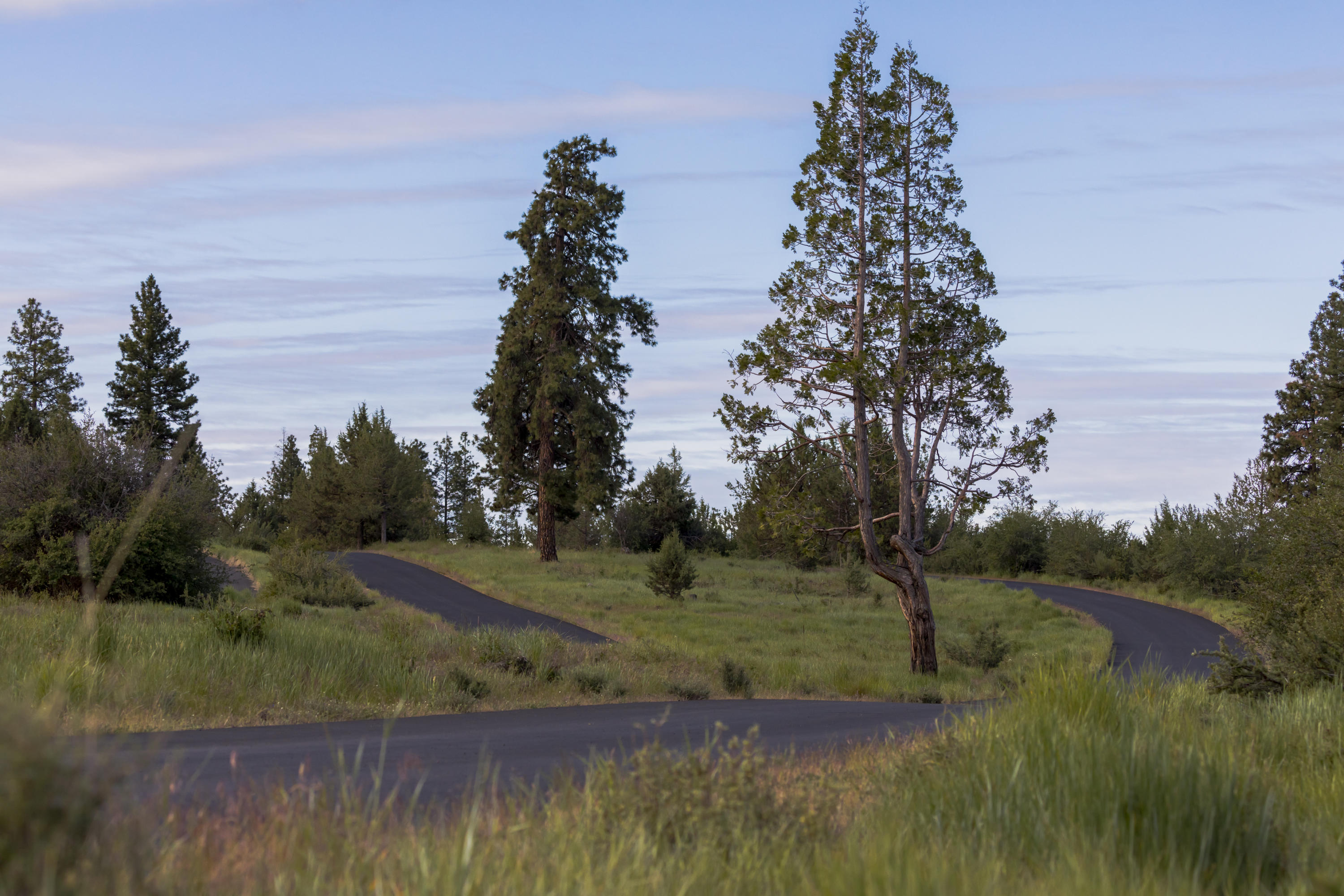 Ridgewater Subdivision -Phase 1 - Land