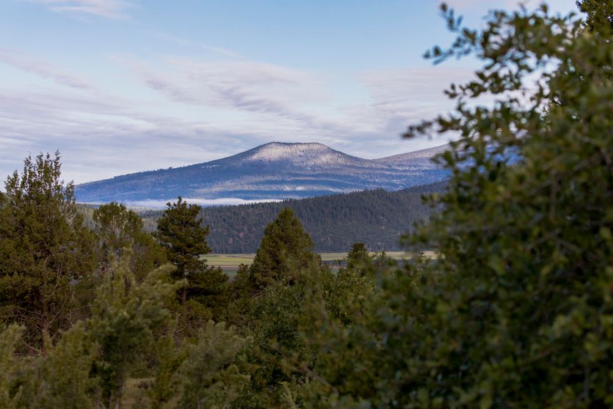One of a limited offering of homesites  Southern Oregon's Premier gated, secure community of RidgeWater Properties. Privacy, easy access to hillsides & surrounded by pine.  With over 300 days of sunshine, you will love The Upper Meadows Phase of RidgeWater.  These properties offer extraordinary wildlife viewing & birding opportunities. Protective CCRs, walking & riding trails. Planned fitness, equestrian and RV centers.  Klamath Falls is experiencing an economic growth period, do not miss this opportunity to own or invest in this beautiful community.  Each homesite is shovel ready with all utilities and a private water system.  Call today for your personal tour!
