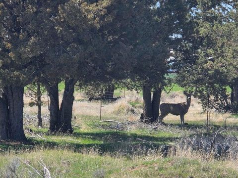 Tiny photo for 6499 SW Daly Lane, Culver, OR 97734 (MLS # 220213203)