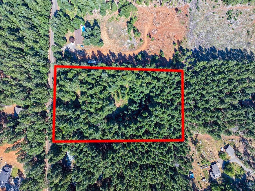 This is a blank slate opportunity with a well and homesite approval in place. This undeveloped 5 acres has the best of both worlds with the intended homesite close to the main road, you won't have to bring power far from the street.  The well is installed and capped, when drilled provided 20 gallons per minute.  All level land with tall fir, pine and madrone trees.  The native plants and underbrush, reminds you of a park.  The neighborhood is peaceful with very few cars up and down the dead end road.