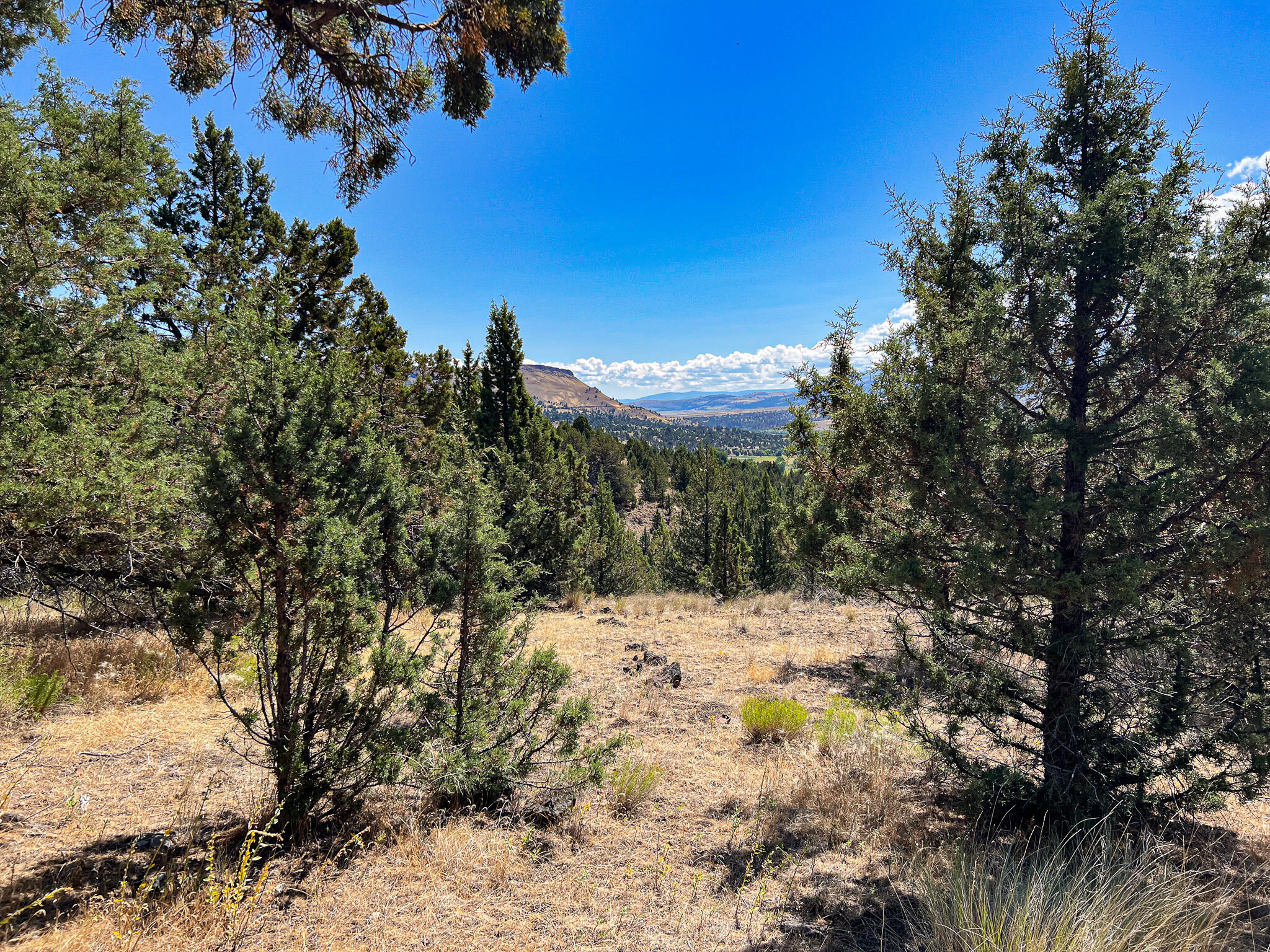 219 Valley View Drive