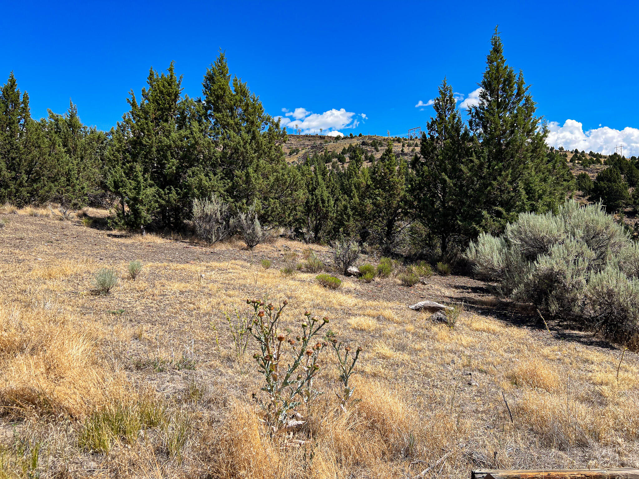 219 Valley View Drive