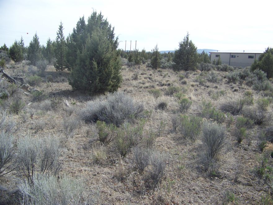 Nice sized industrial lot close to the Apple Data Complex.  Lot is level and has easy access off of Cessna Drive.  This area is growing every year with new and established businesses.  Qualifying businesses may be entitled to significant tax advantages that are part of the enterprise zone incentive program.  If you are looking for lots of room with a paved access to your place of business this is it.  There are a total of 3 lots including this one owned by the same family if you are needing a large area or you could buy them and let the values appreciate.