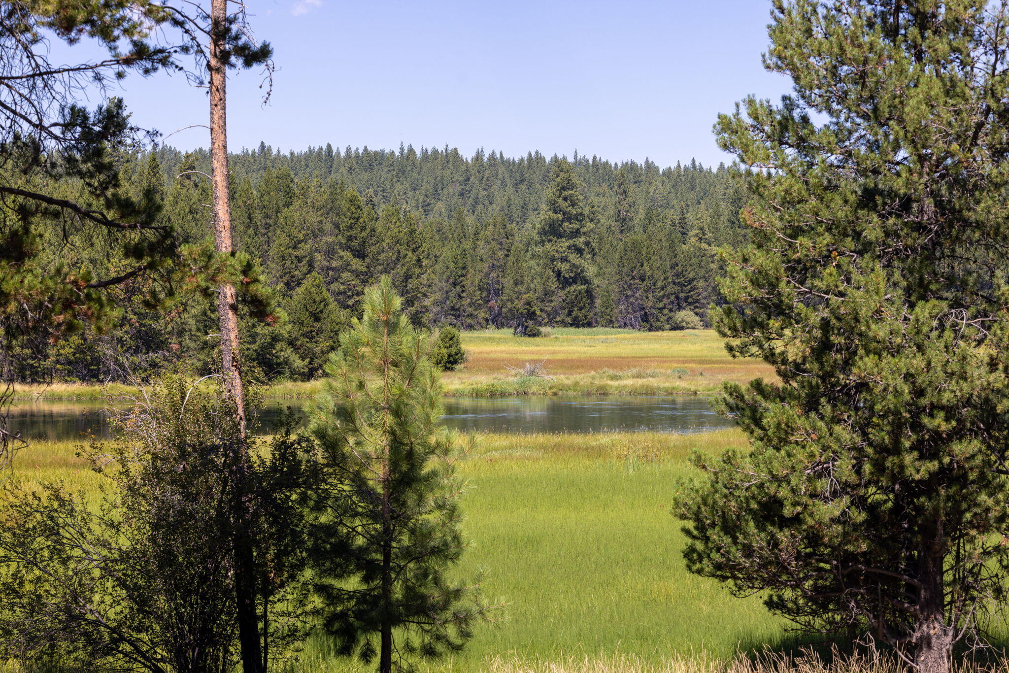 River Village - Residential