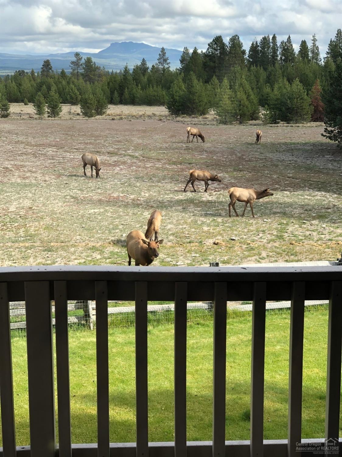 Alpine Meadows - Residential