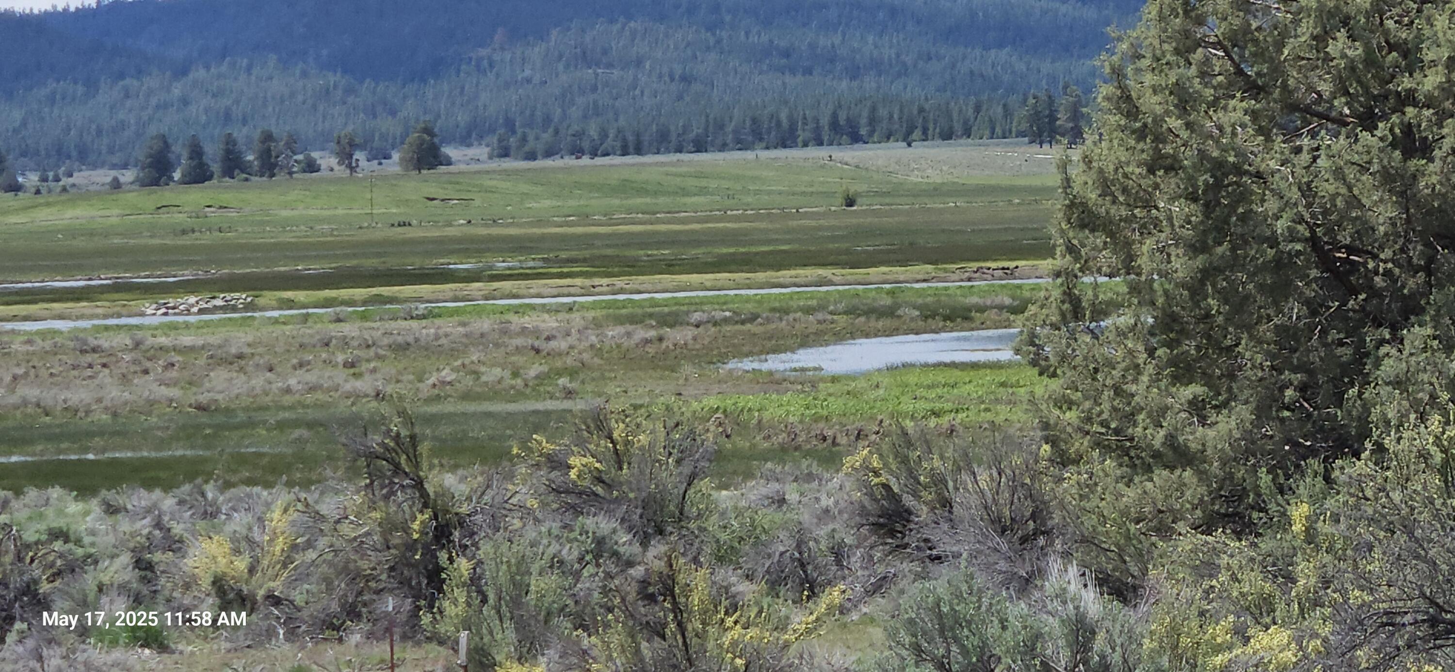 Nimrod River Park - Land