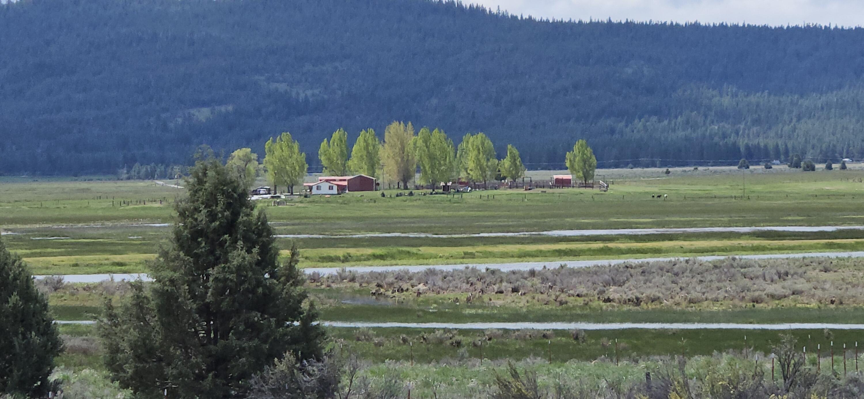 Nimrod River Park - Land